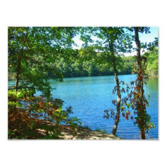Wilderness Wooded Lake Photo Print