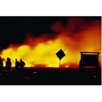 Wildfire at Prime Hook National Wildlife Refuge photo sculptures by animalpark Wildfire at Prime Hook National Wildlife Refuge photo sculptures