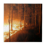 Wildfire Blaze Tiles