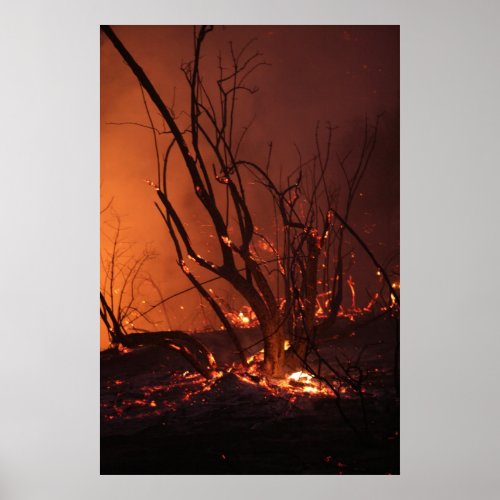 Wildfire print