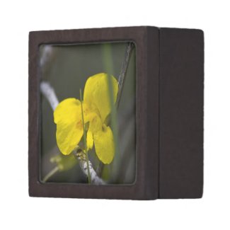 Wildflower 10 Gift Box planetjillgiftbox