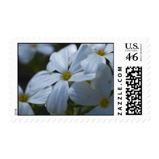 Wildflower 10 postage stamp