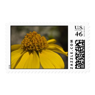 Wildflower 11 stamps