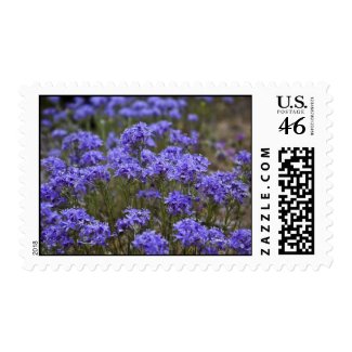 Wildflower 17 postage stamp