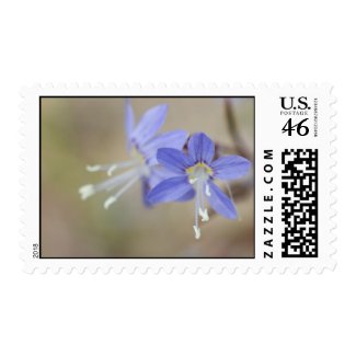 Wildflower 24 postage stamps
