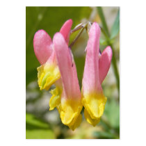 Wildflower 25 ~ ATC business cards