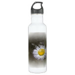 WIldflower 2 24oz Water Bottle