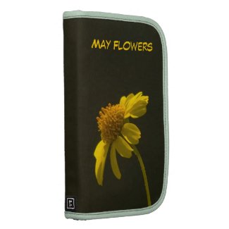 Wildflower 2 Folio rickshawfolio