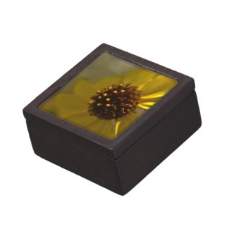 Wildflower 2 Gift Box planetjillgiftbox