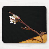 Wildflower 33 ~ mousepad