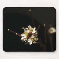 Wildflower 41 ~ mousepad