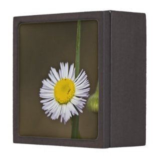 Wildflower 4 Gift Box Premium Jewelry Box