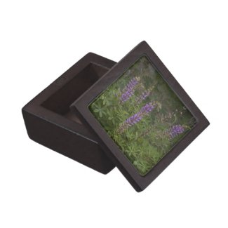 Wildflower 6 Gift Box planetjillgiftbox