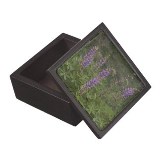 Wildflower 6 Gift Box Premium Keepsake Box