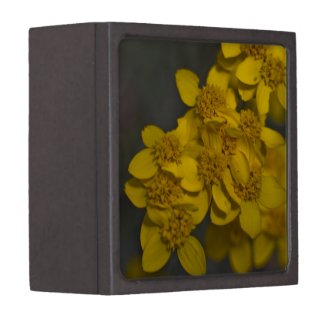 Wildflower 7 Gift Box Premium Trinket Boxes