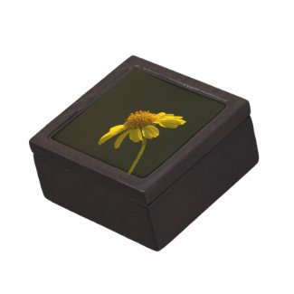 Wildflower 8 Gift Box planetjillgiftbox