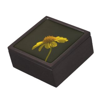 Wildflower 8 Gift Box Premium Keepsake Box