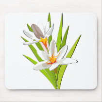 Wildflower Beauty mousepads