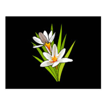 Wildflower Beauty Postcard