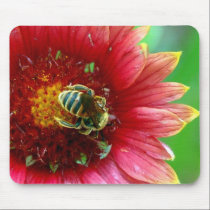 Wildflower & Bee Mouse Pad mousepads