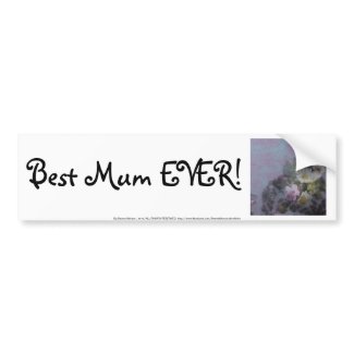 wildflower, Best Mum EVER! heart bumpersticker