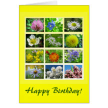 Wildflower Birthday Cards