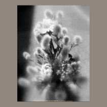 wildflower bouquet, black and white posters