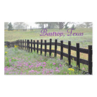 Wildflower by Fence, Bastrop, Texas Sticker