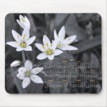Wildflower Cluster Photography 2012 Calendar Mouse Pads