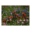 Wildflower Dreams posters by StarLily Wildflower Dreams posters