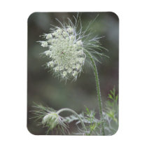 Wildflower Flexible Magnet