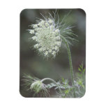 Wildflower Flexible Magnet