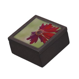 Wildflower Gift Box planetjillgiftbox