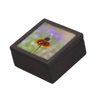 Wildflower Gift Box planetjillgiftbox