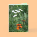Wildflower Greeting Card cards