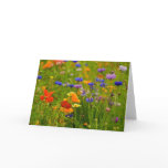 Wildflower Greeting Card