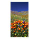 Wildflower Hills Picture Card