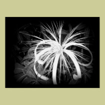 Wildflower in Tortuguero - Holga posters