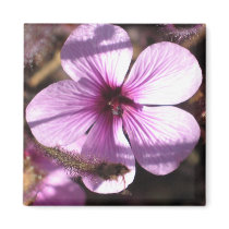 Wildflower magnets