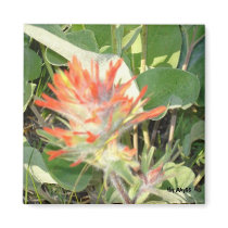 Wildflower Magnets