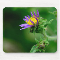 Wildflower mousepads