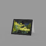 Wildflower Photo Note Card
