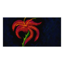 wildflower photo cards