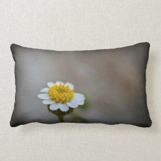 Wildflower Pillow 1 throwpillow