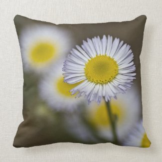 Wildflower Pillow 7