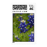 Wildflower Postage Wildflower Postage