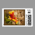 Wildflower Postage stamps