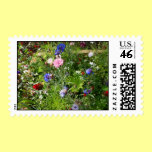 Wildflower Postage Stamp stamps