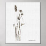 Wildflower Posters