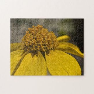 Wildflower Puzzle 2 puzzle